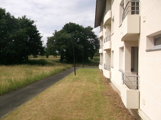 425309_avicenne2
