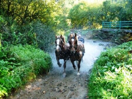 attelage 2