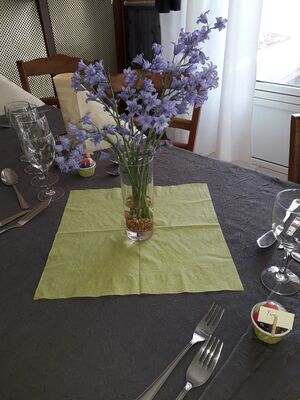 Fleurs de printemps