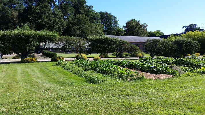potager chateau de craon