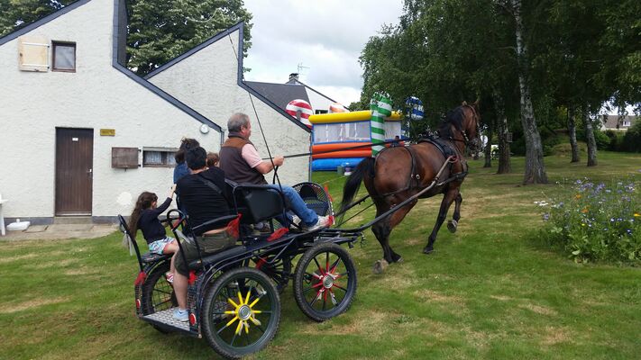 BALADE EN CARRIOLE