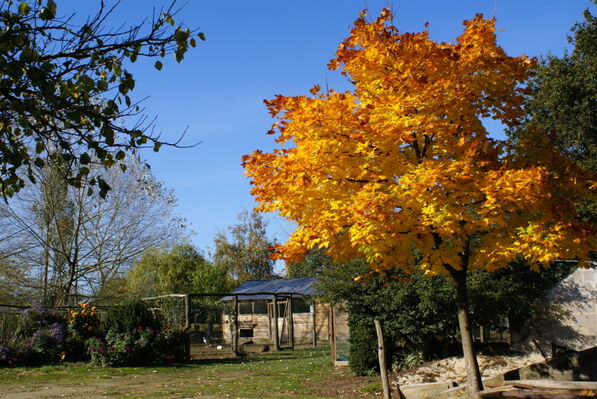 DSC09384-2