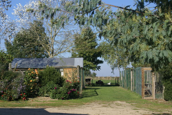 DSC09300