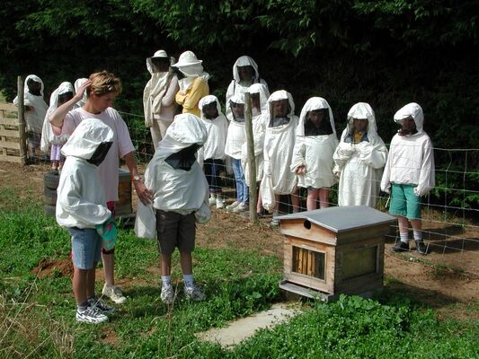 DEG53-la-ferme-des-abeilles-3