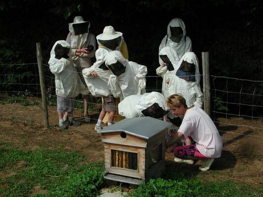 DEG53-la-ferme-des-abeilles-4