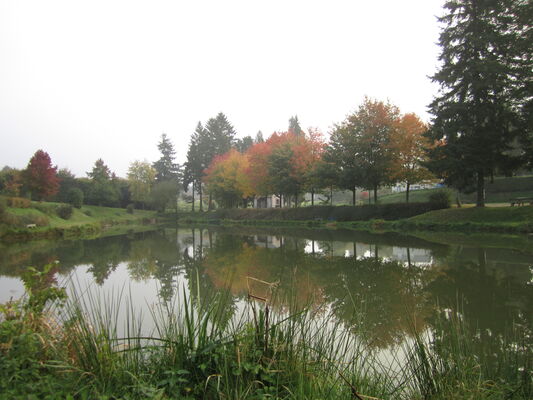 Etang Saint-mars-sur-la-futaie 3