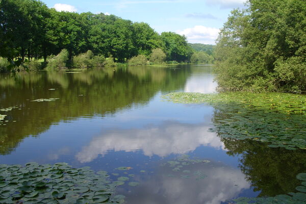 Etang-des--Perles-12