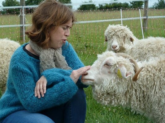 FMA-mohair-du-maine-02