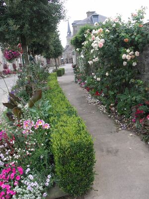 Fleurissement 2 Rue Principale 2013