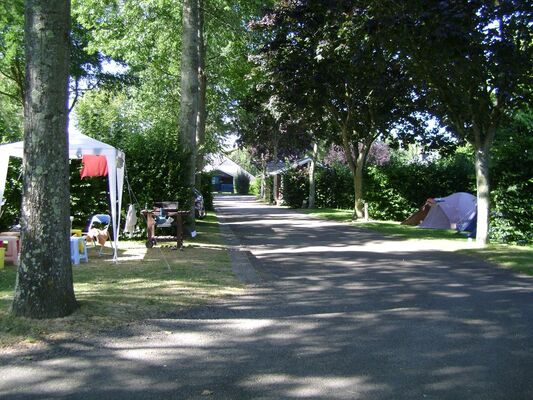 Camping du Mûrier à Craon