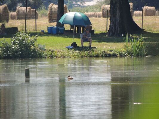 Camping de la Chesnaie 10