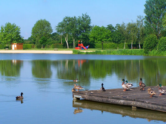 Camping de la Chesnaie 4