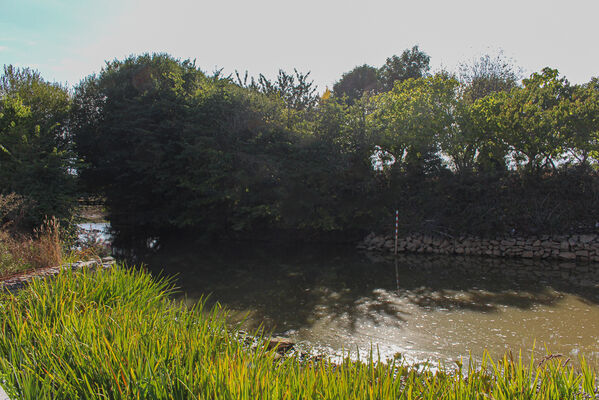 IMG-0582-3