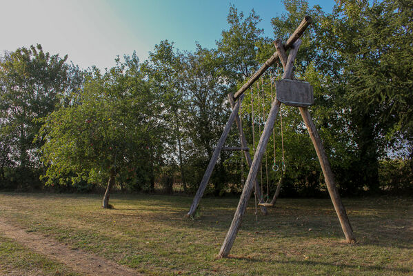 IMG-0605-5