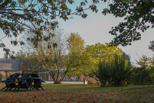 IMG-0610-2