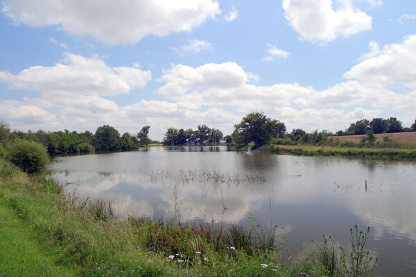 VIGNE ET ETANGS DE LA MORINIERE