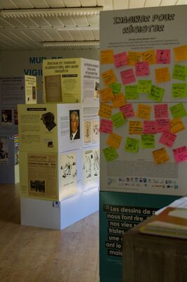 Image5--2-