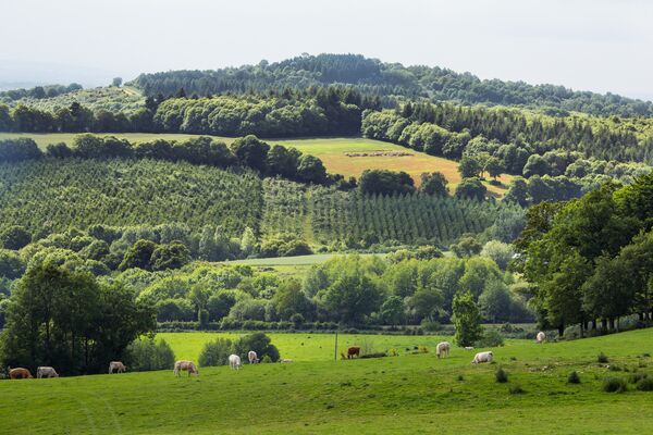 Ize-Mont-Rochard---CP-P