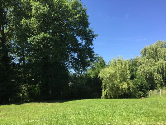 Jardin_2 png