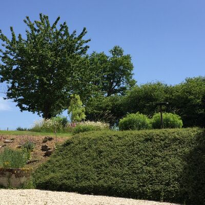Jardin_3 png