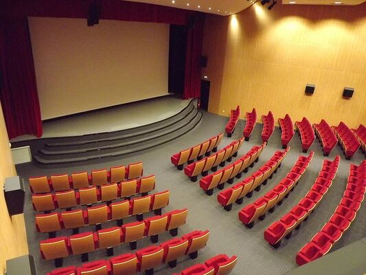 LOI53-cinema-le-majestic-montsurs-1
