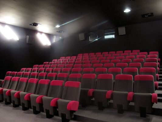 LOI-cinema-le-palace-2