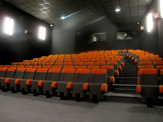 LOI-cinema-le-palace-3
