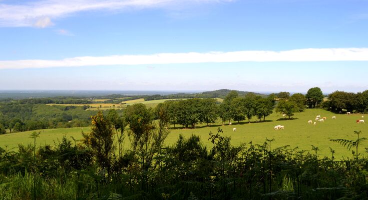 Mont-Rochard17