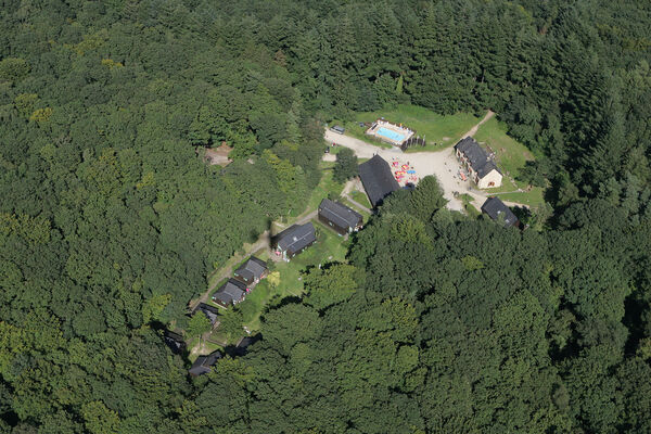 Notre clairère dans la forêt