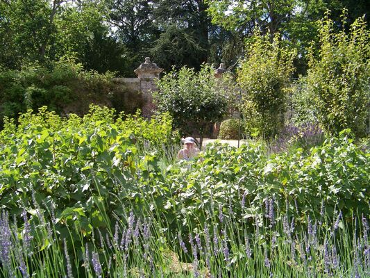 potager