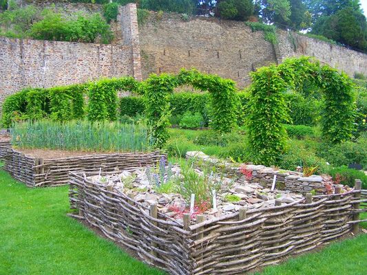 PCU-jardin-medieval-de-la-source (2)