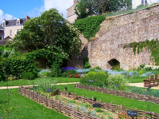 PCU-jardin-medieval-de-la-source (4)