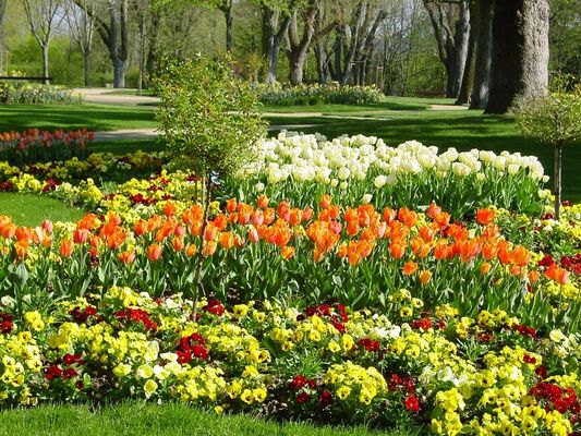 PCU-jardin-du-bout-du-monde (14)