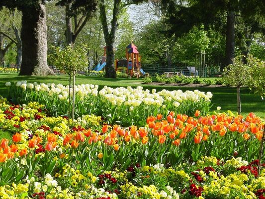PCU-jardin-du-bout-du-monde (15)
