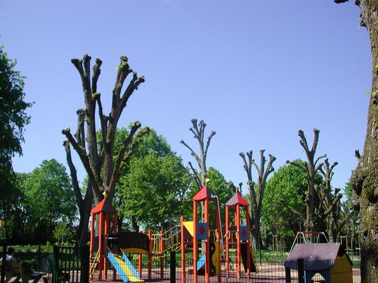 PCU-jardin-du-bout-du-monde (5)