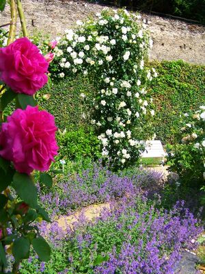 PCU-jardin-des-senteurs (3)