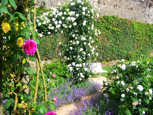 PCU-jardin-des-senteurs (4)