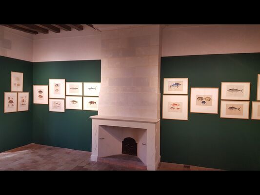 PCU-musee-d-art-et-d-histoire-chateau-gontier-14