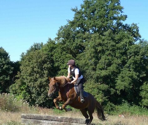 Poney club de l'Arche (Copier)
