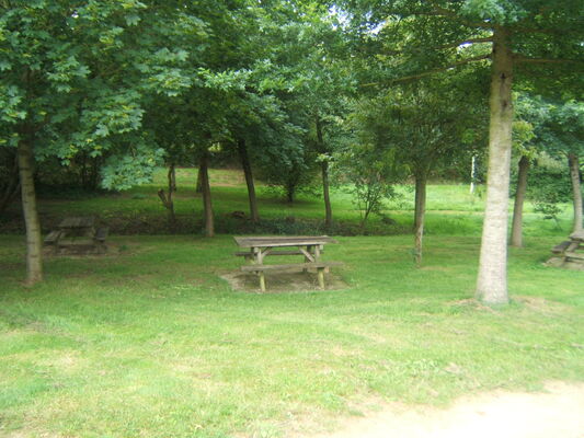aire-de-pique-nique-village-saint-loup-du-gast-53-loi-2