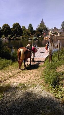 bac ménil chevaux slowlydays TRAIT NATURE