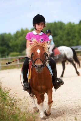 centre-equestre-ambrieres-les-vallees-53-asc-1