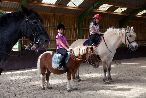 centre-equestre-ambrieres-les-vallees-53-asc-2