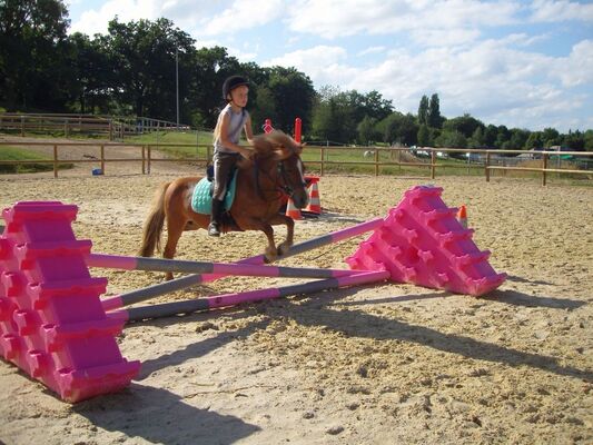 centre-equestre-ambrieres-les-vallees-asc-1