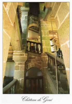 chateau-de-goue-fougerolles-du-plessis-pcu-4