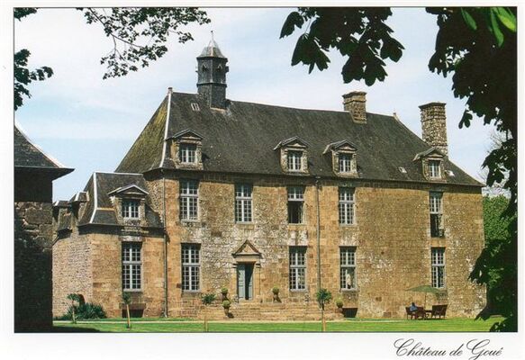 chateau-de-goue-fougerolles-du-plessis-pcu-5