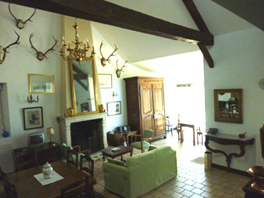 coin salon cheminée