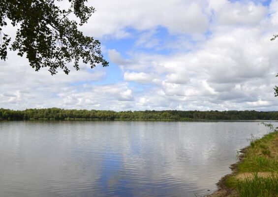 etang-du-gue-de-selle-dans-les-coevrons