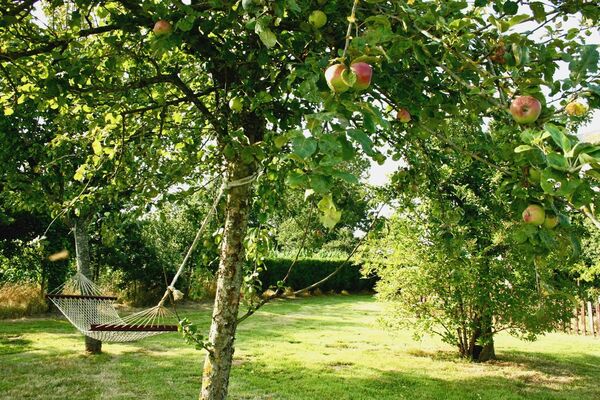 gite-le-tay-carelles-53-hlo (11)