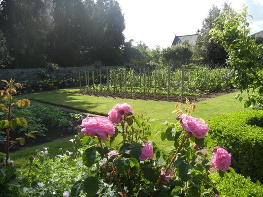 jardin de clivoy2